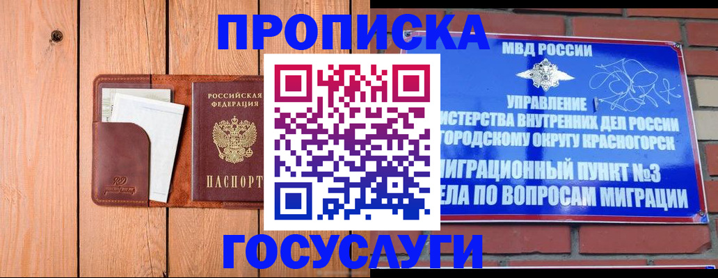 регистрация в Судогде